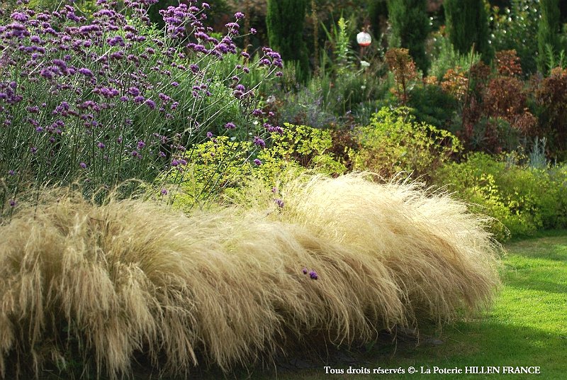 cheveux d ange au jardin contemporain